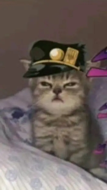 ai character: gatito jotaro background