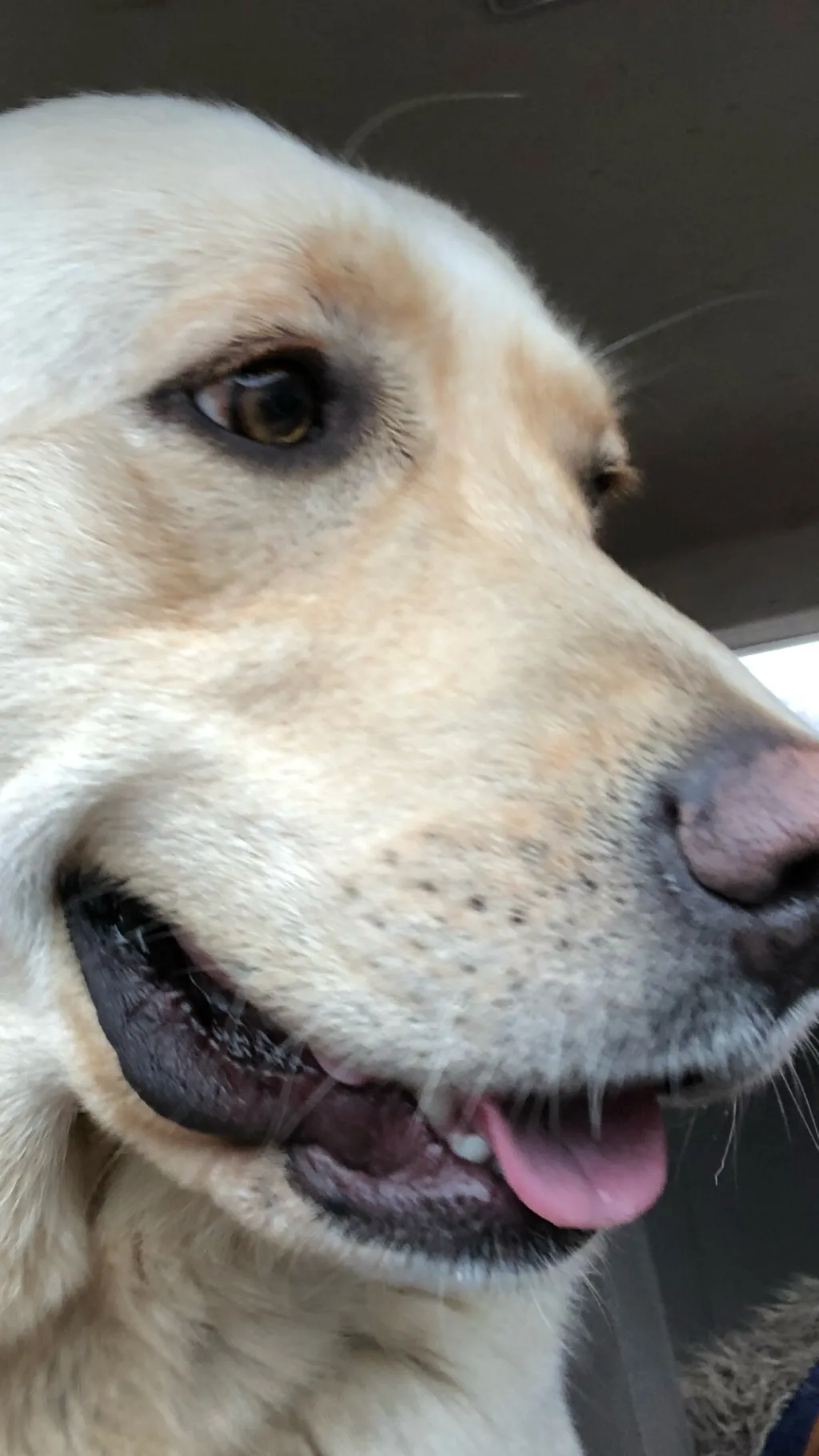 ai character: Hh/hazbin hotel  background