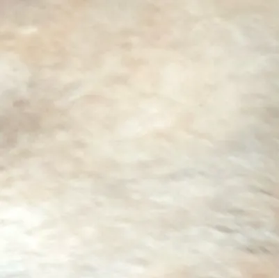 chat with ai character: Hh/hazbin hotel 