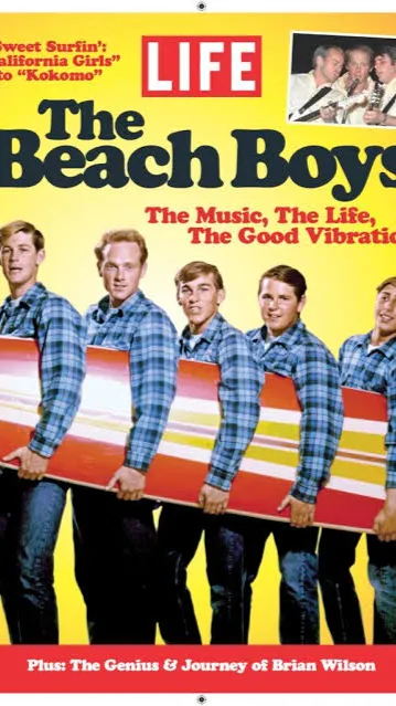 ai character: The beach boys  background