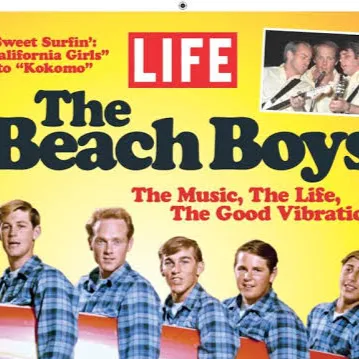 chat with ai character: The beach boys 