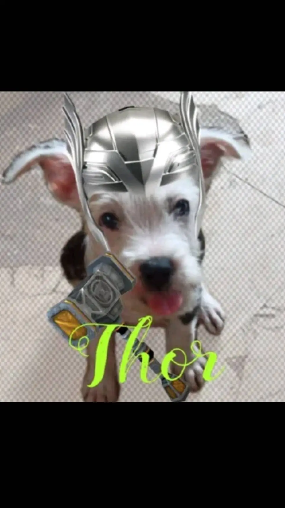 ai character: THOR  background
