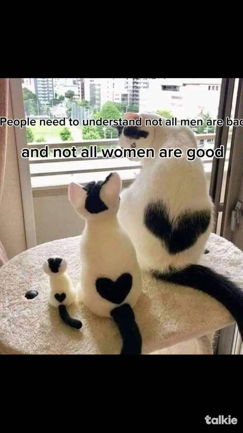 ai character: Cats background