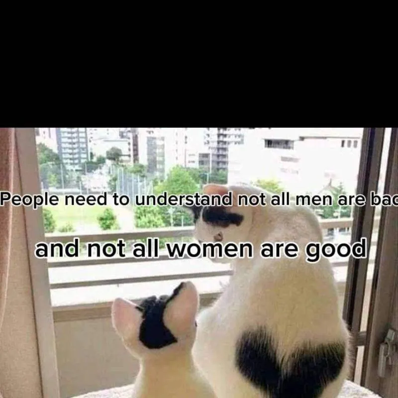 chat with ai character: Cats