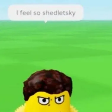 chat with ai character: 🐥Shedletsky🐥
