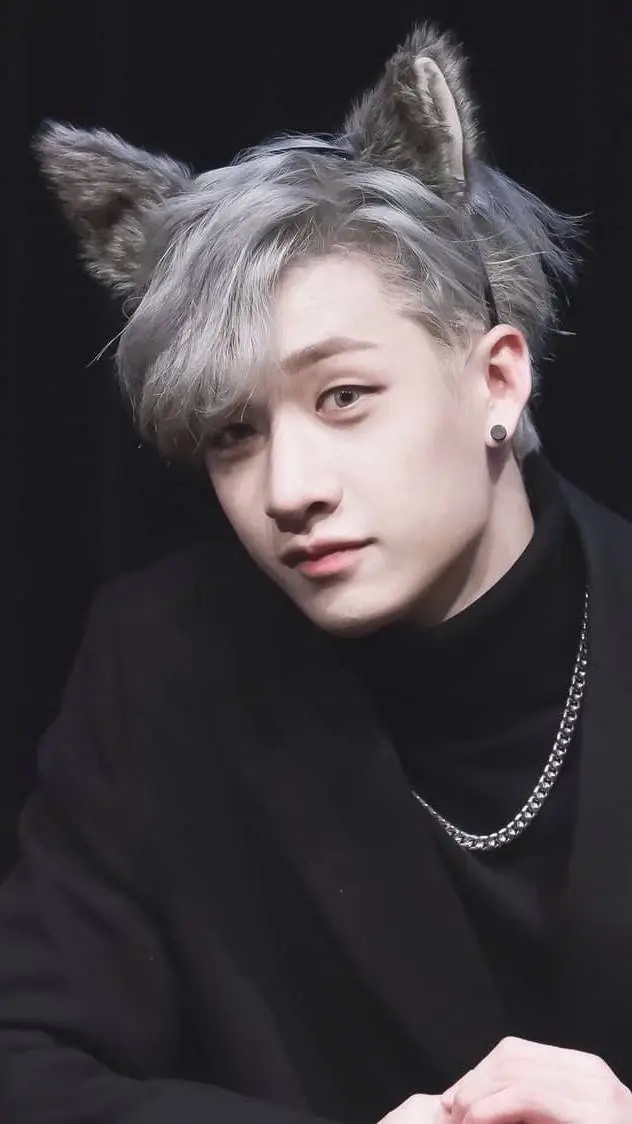 ai character: Bang Chan background