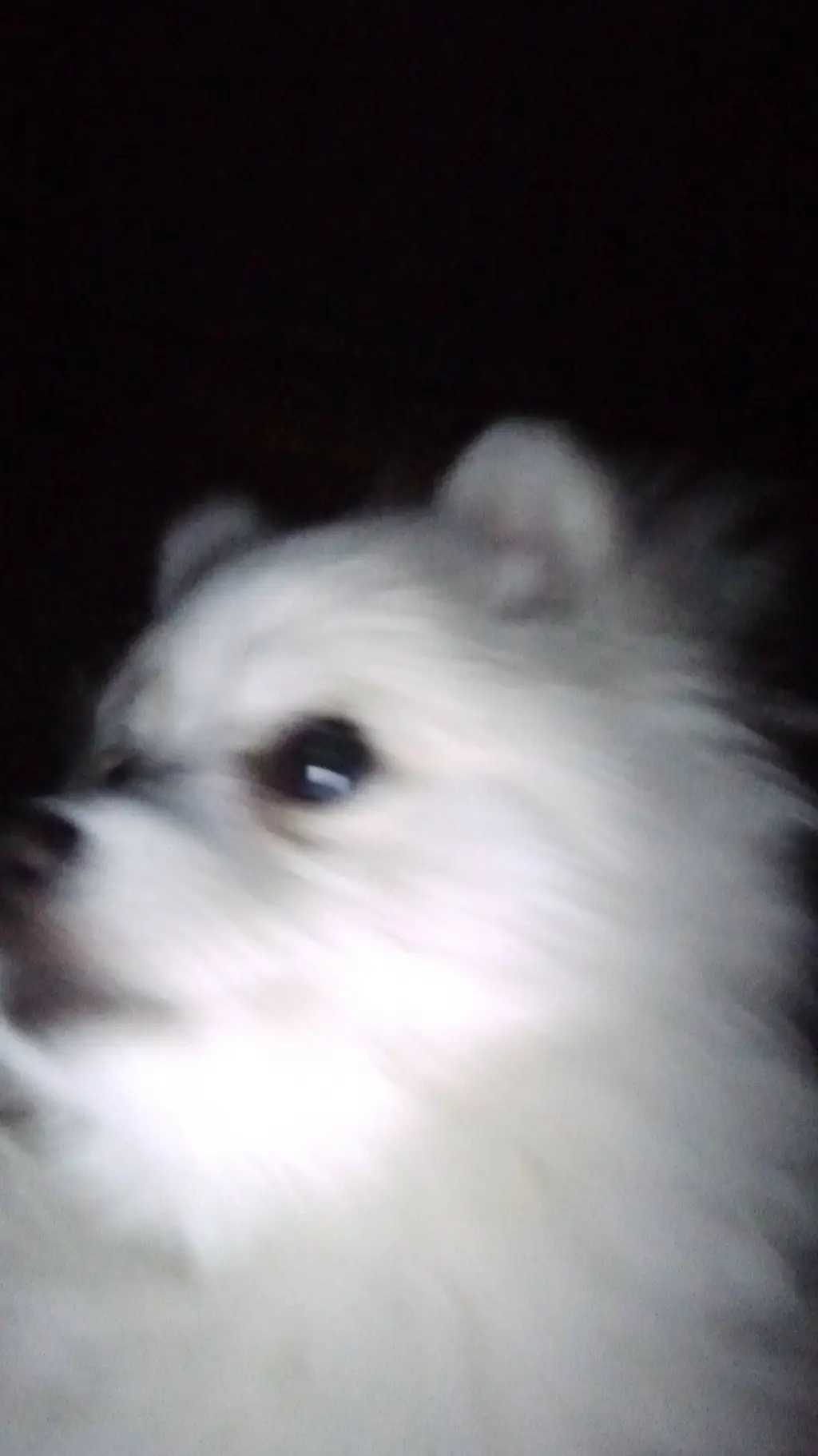 ai character: Maya  background