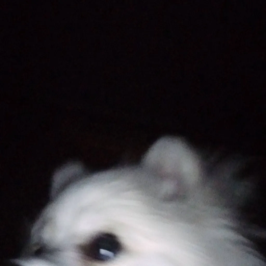 chat with ai character: Maya 