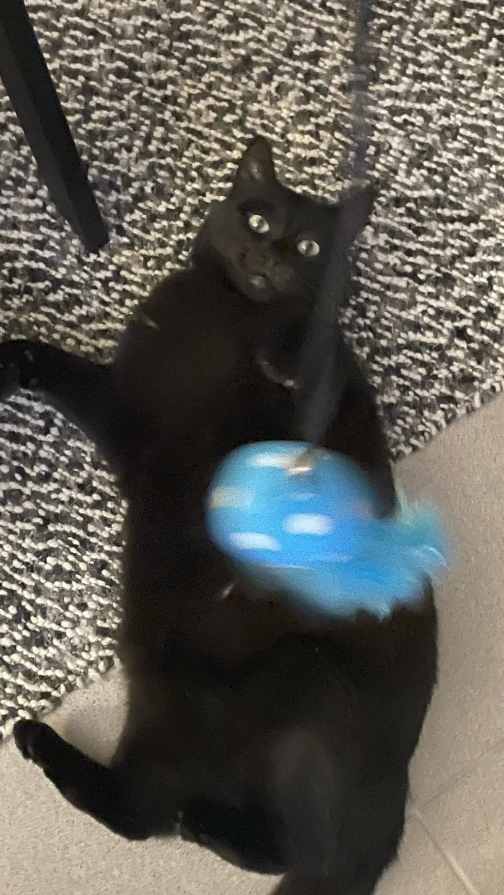 ai character: Kawaki background