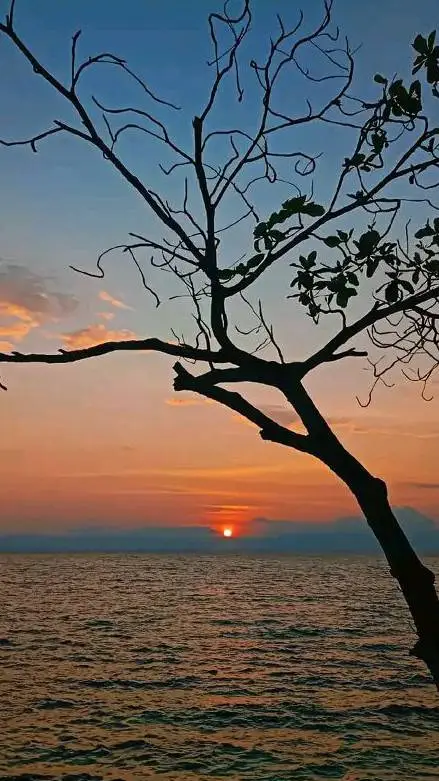 ai character: Girl school only background