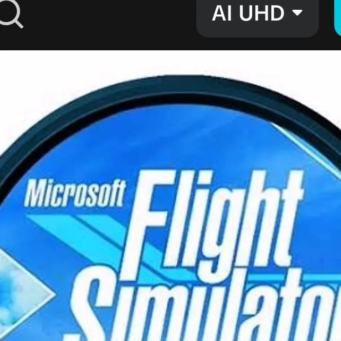chat with ai character: FS 2024 and Other 