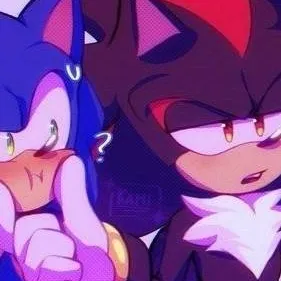 chat with ai character: 💙🩵sonicxshadow🖤♥️