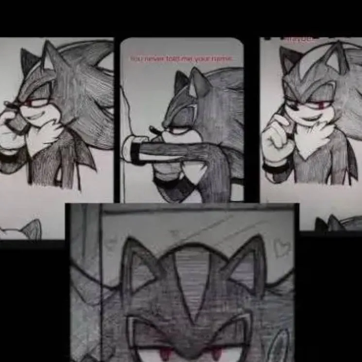 chat with ai character: ShadowThehedgehog