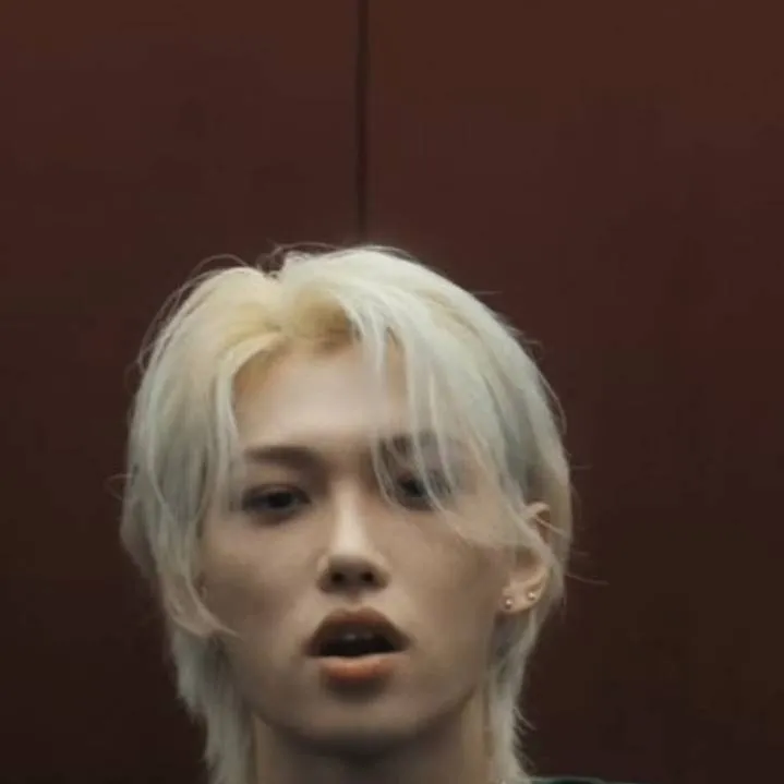 chat with ai character: Felix 🐥 [Hyunlix]