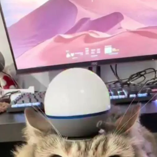 chat with ai character: sprout ♥️♥️:3