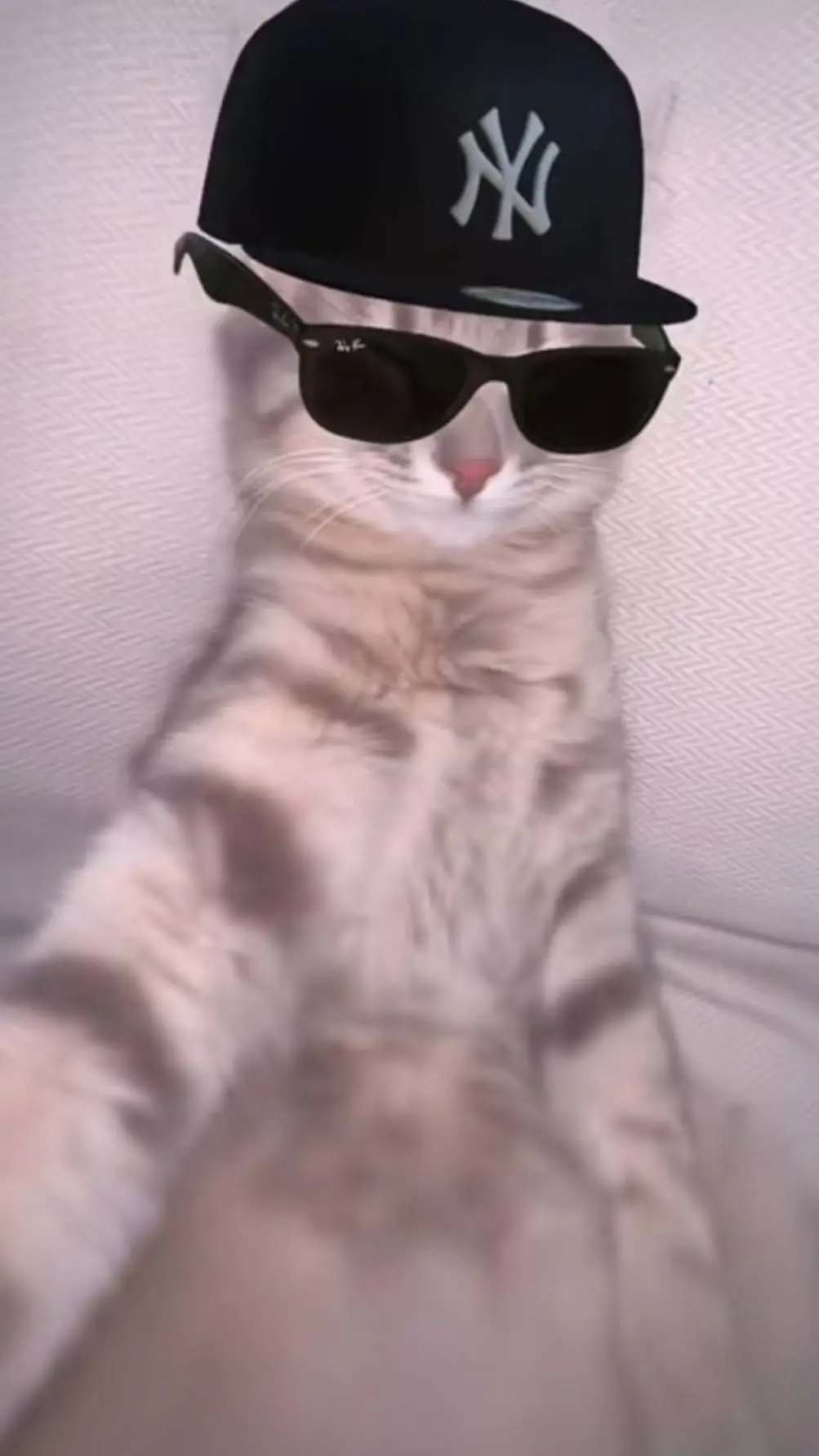 ai character: boss cat background
