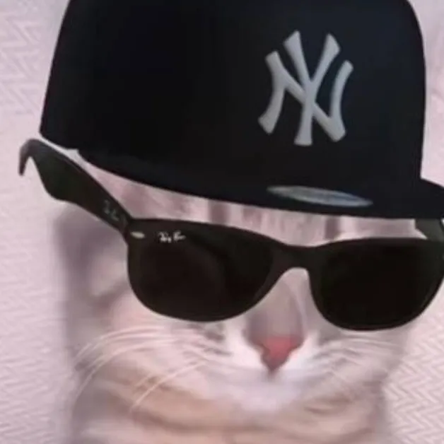 chat with ai character: boss cat