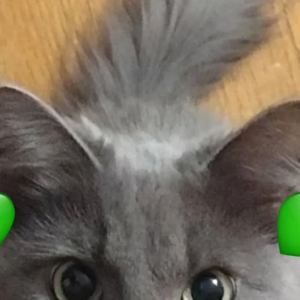 chat with ai character: eli