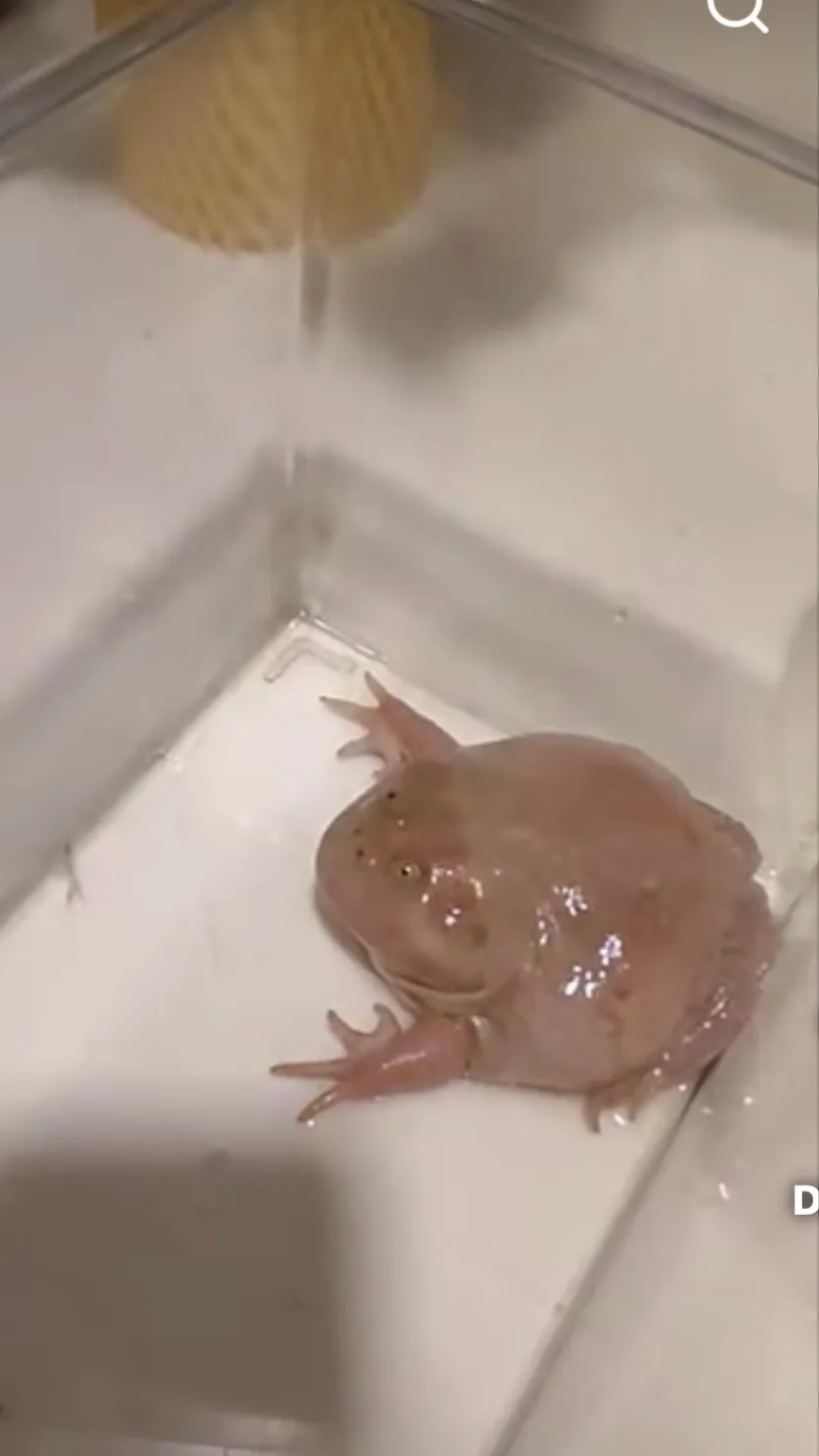 ai character: You got a package background