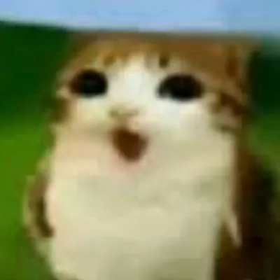 chat with ai character: Pbbv