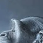 chat with ai character: dumbass forsaken 2