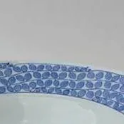 chat with ai character: Dish