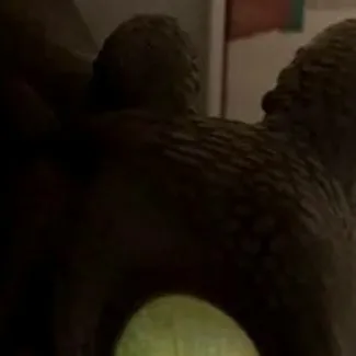 chat with ai character: chimuelo vs mha🖤