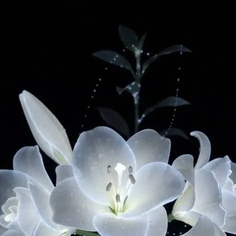 chat with ai character: Mha 