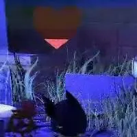 chat with ai character: шкала
