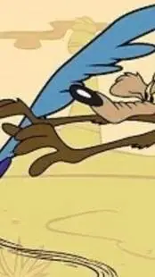 ai character: coyote vs corre ca background