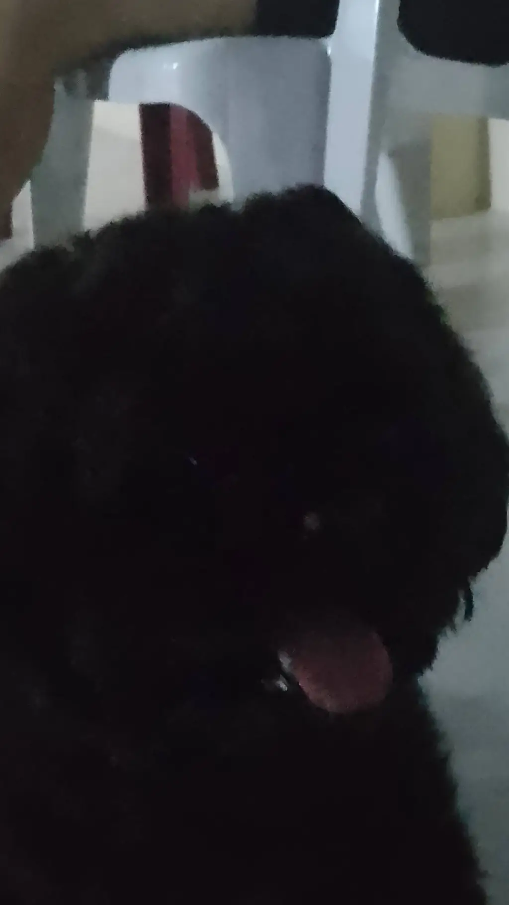 ai character: Cousins 😁 background