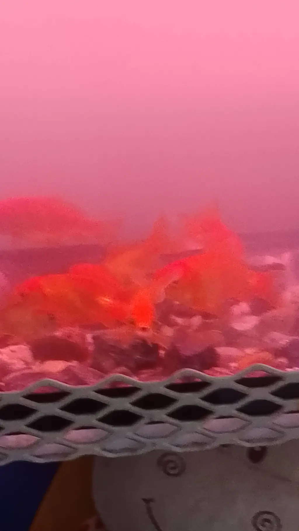 ai character: Black Sisters background