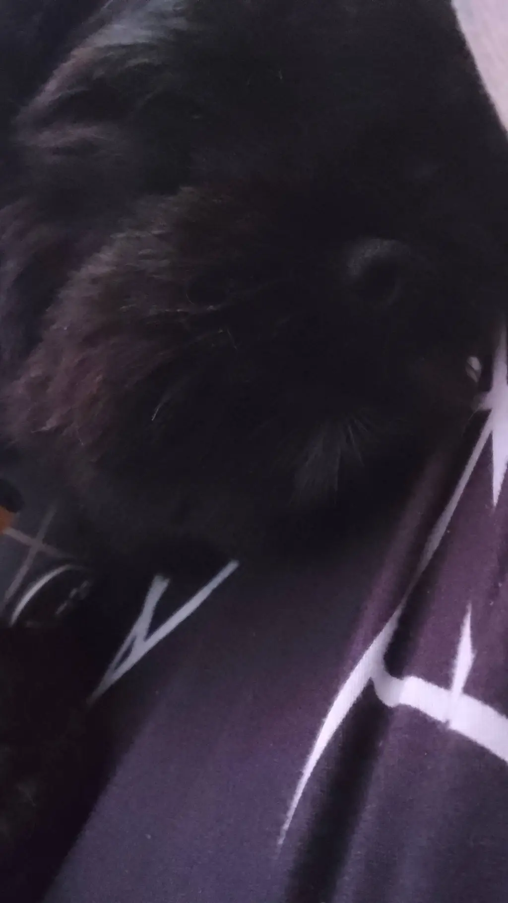 ai character: Alice Fortescue  background