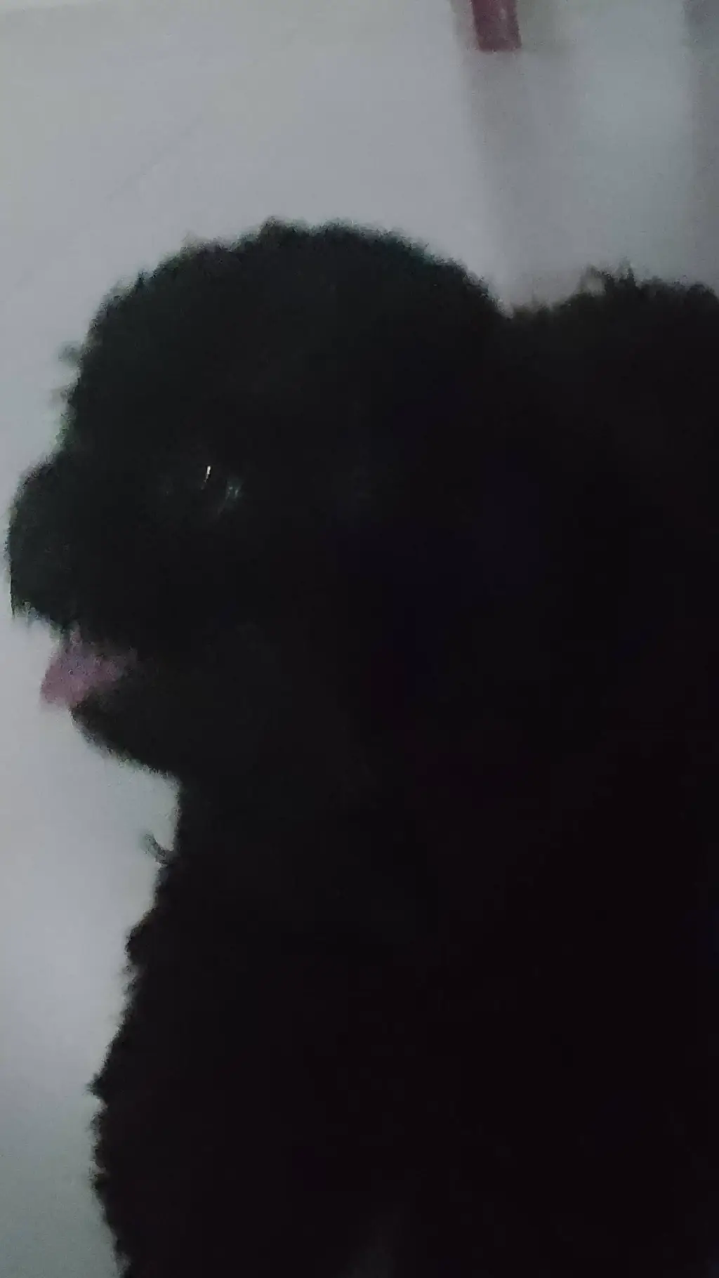 ai character: Kocho Family  background