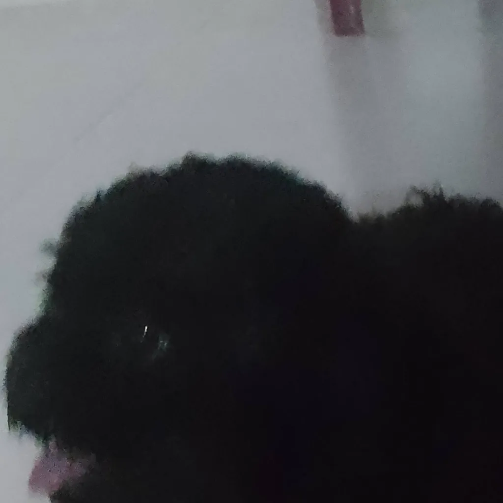 chat with ai character: Kocho Family 