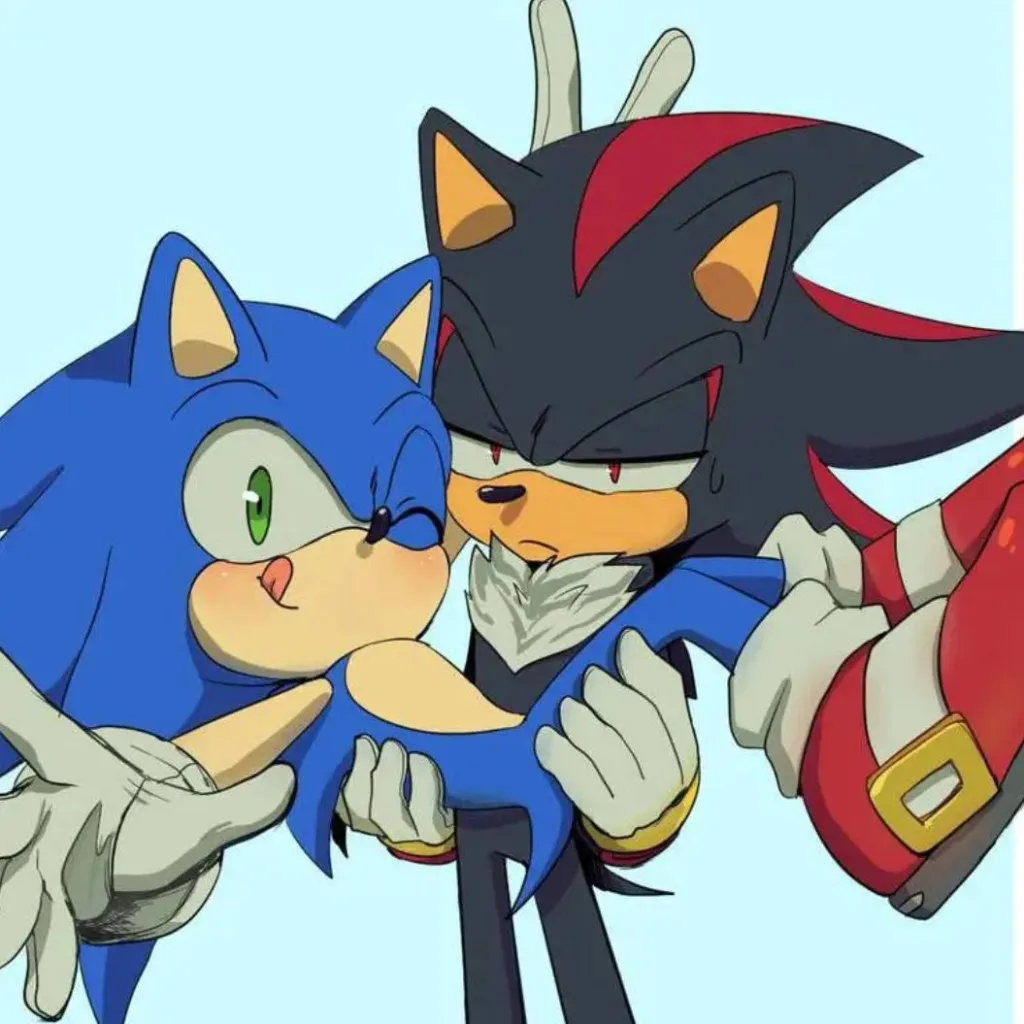chat with ai character: Sonadow 2
