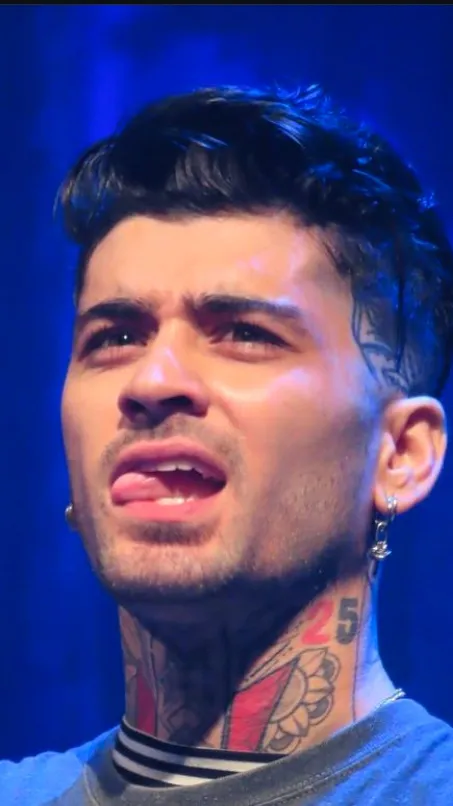 ai character: Zayn Malik background