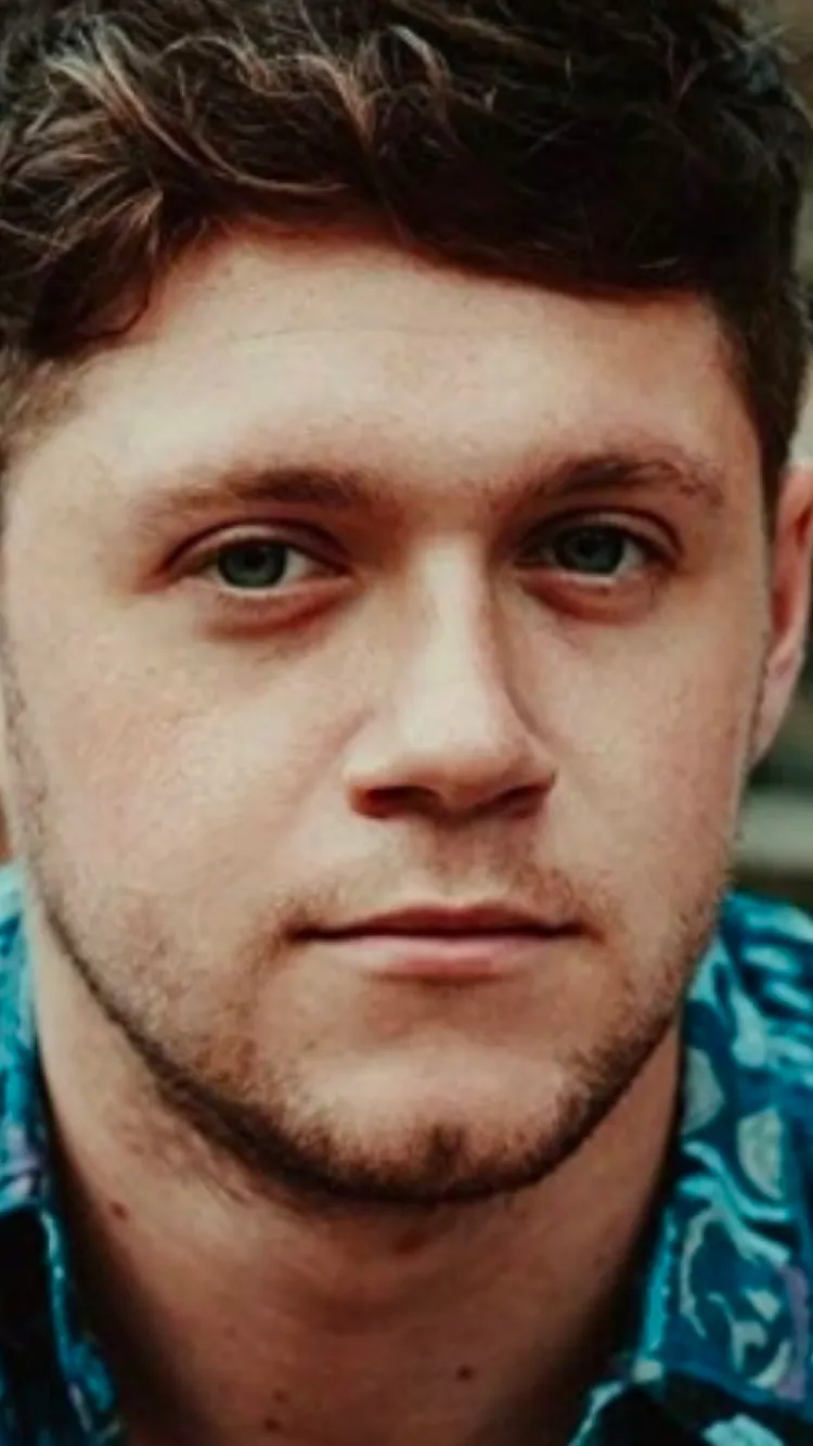 ai character: Niall James Horan background