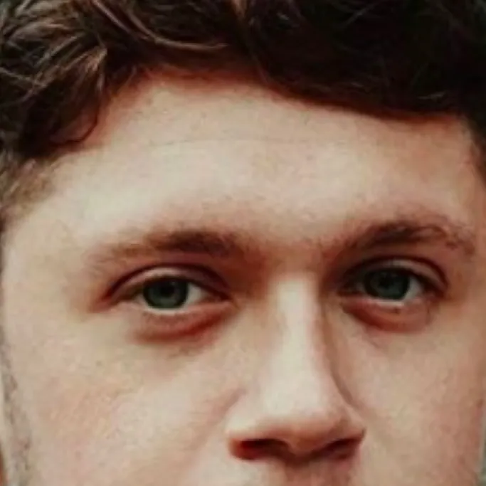 chat with ai character: Niall James Horan