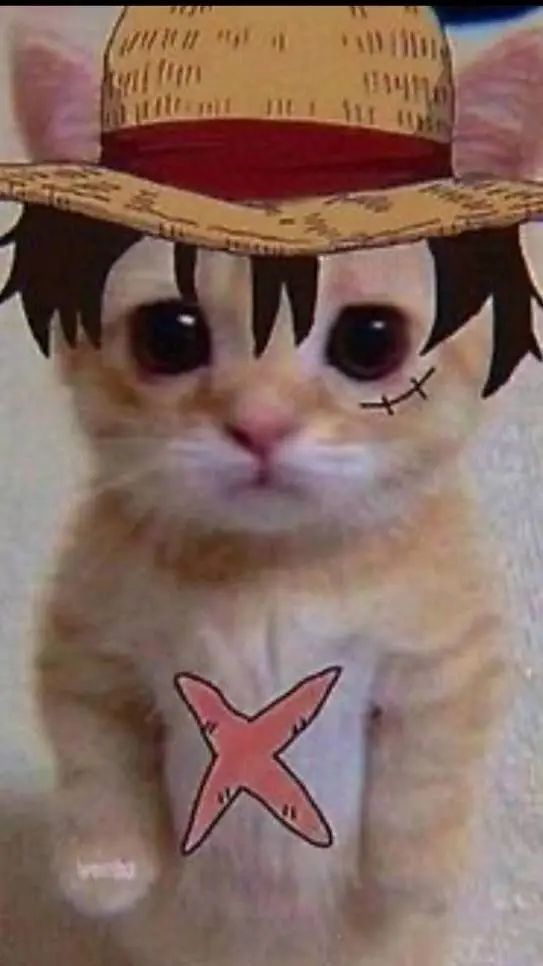 ai character: One Piece in your🏠 background