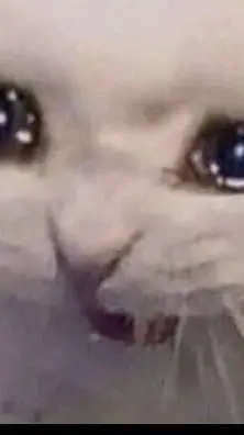 ai character: Cléa  background