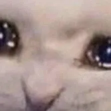 chat with ai character: Cléa 