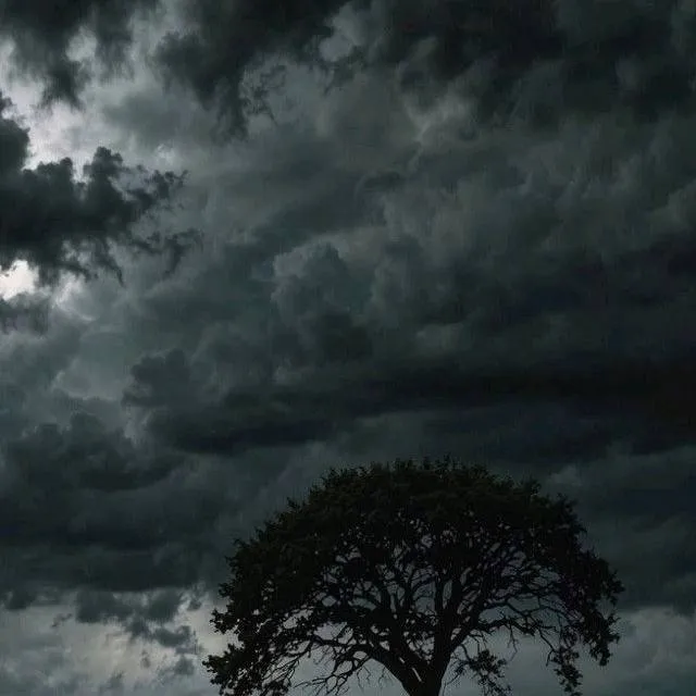 chat with ai character: make your own