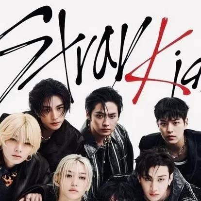 chat with ai character: STRAY KIDS
