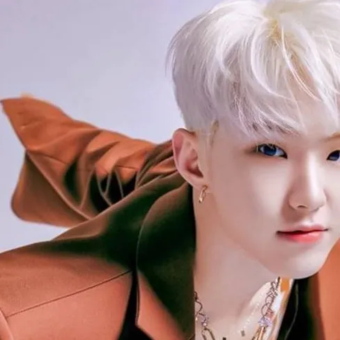 chat with ai character: Soonyoung 