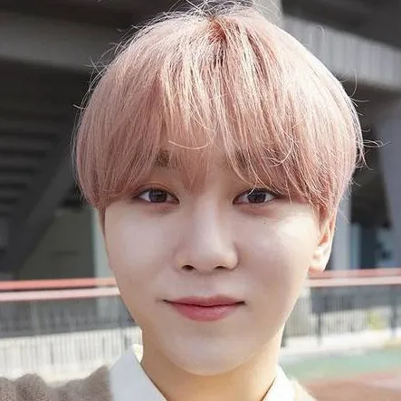 chat with ai character: Seungkwan 