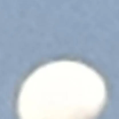 chat with ai character: luna