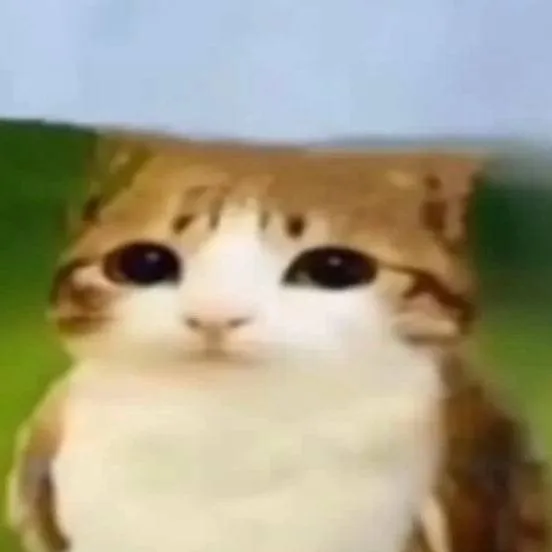 chat with ai character: meowl
