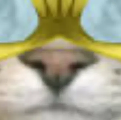 chat with ai character: Invincat