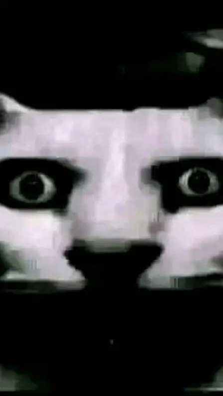 ai character: your dead cat background